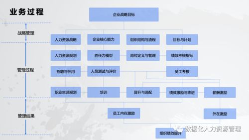 数据产品在人力资源管理的实践与思考 一、在线数据处理与交易处理业务